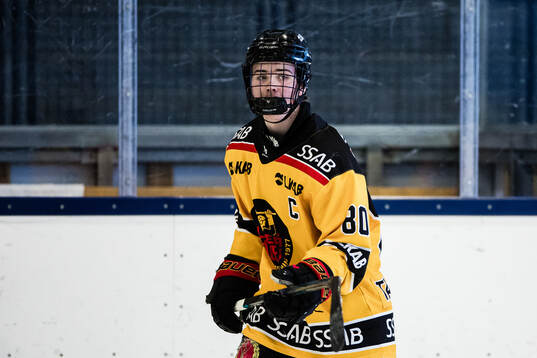 Luleås Vilmer Tammilehto