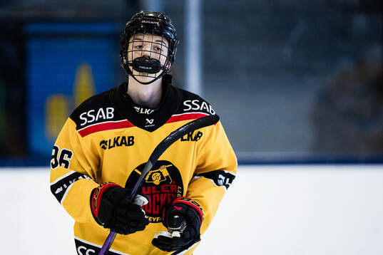 Luleås Jan Rejthar
