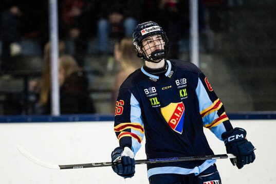 Djurgårdens Arvid Drott