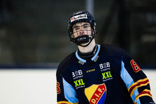 Djurgårdens Arvid Drott