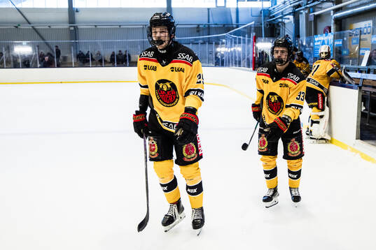 Luleås Tsimafej Tuzin och Måns Josbrant deppar
