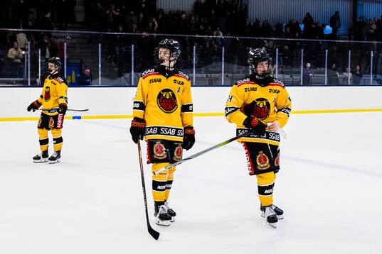 Luleås Vidar Fredriksson deppar