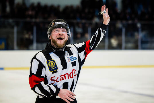 Huvuddomare Filip Bohm i aktion