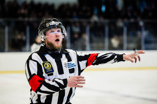Huvuddomare Filip Bohm i aktion
