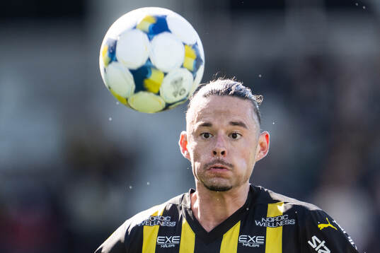 Häckens Amor Layouni