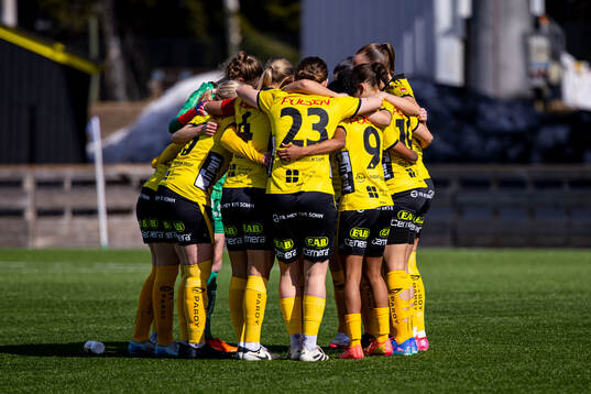 Elfsborg