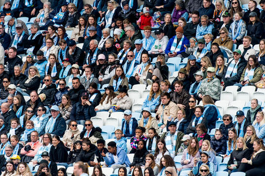 Malmö FFs supportrar