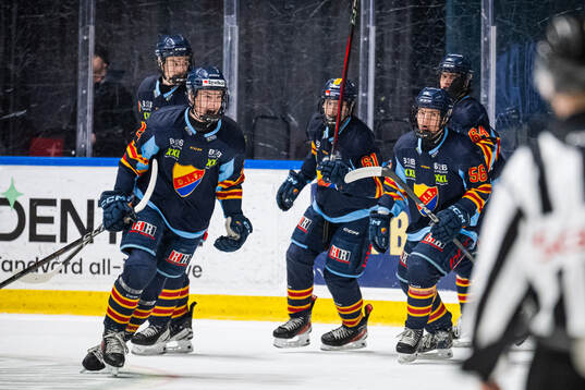 Djurgårdens Theo Stockselius jublar
