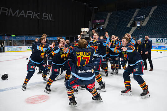 Djurgårdens spelare jublar
