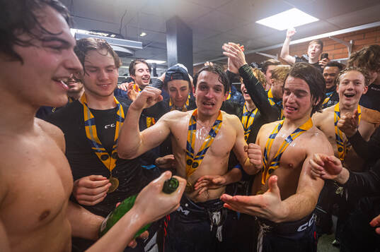 Djurgårdens spelare jublar