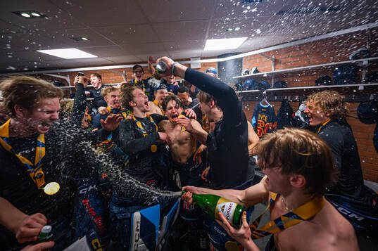Djurgårdens spelare jublar