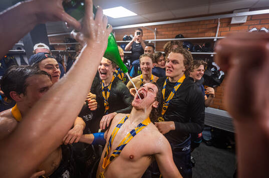 Djurgårdens spelare jublar