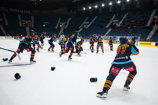 Djurgårdens spelare jublar