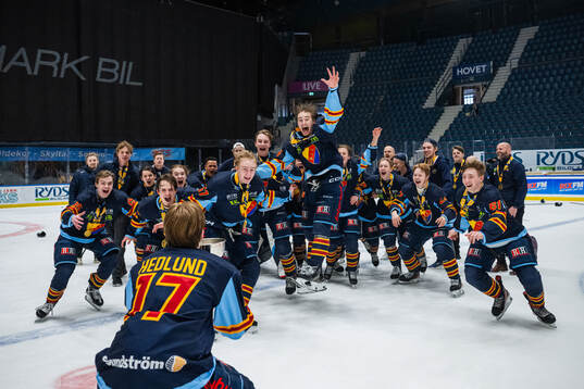 Djurgårdens spelare jublar med pokalen