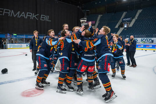 Djurgårdens spelare jublar med pokalen