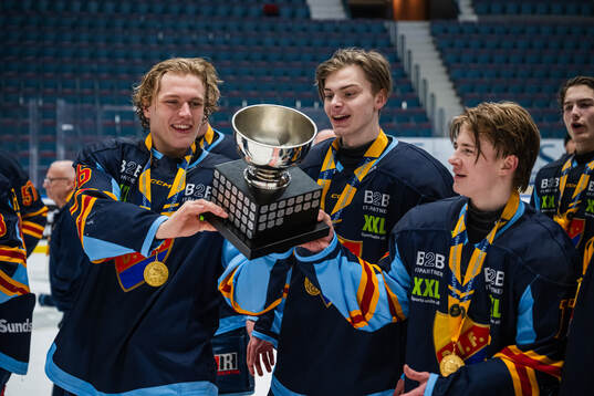 Djurgårdens Bobo Tyche, Arvid Drott och Viktor Hedlund