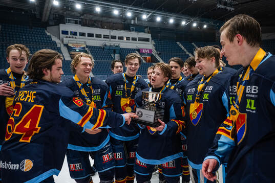 Djurgårdens spelare jublar med pokalen