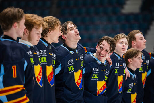 Djurgårdens spelare jublar