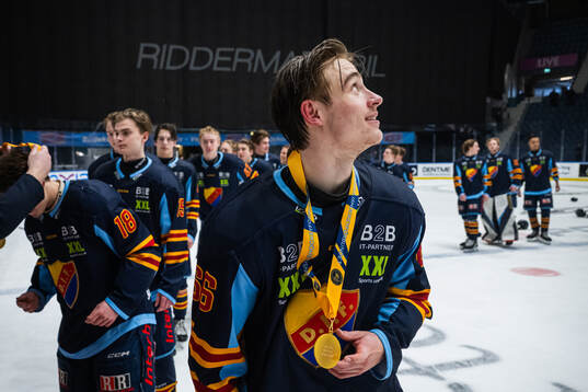 Djurgårdens Arvid Drott