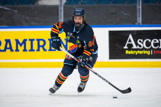 Djurgårdens Bobo Tyche