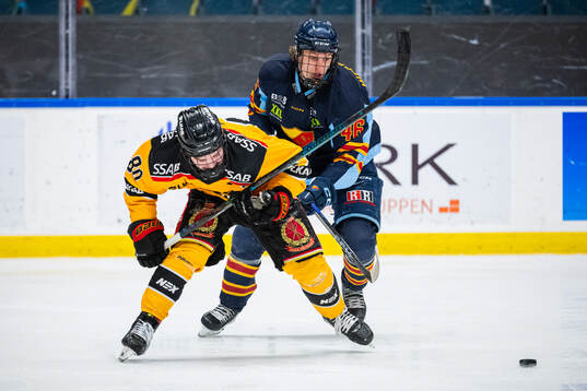 Luleås Vilmer Tammilehto och Djurgårdens Ruben Westerling