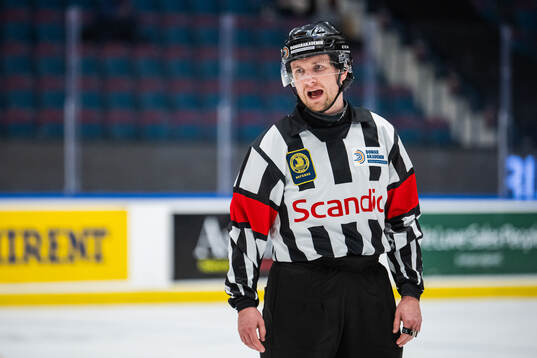 Domare Edvard Lindström