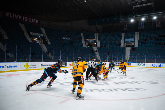 Hovet