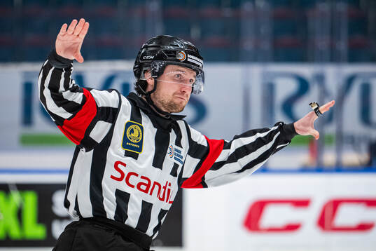 Domare Edvard Lindström