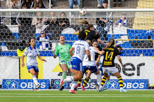 IFK Norrköpings målvakt Caroline Delisle