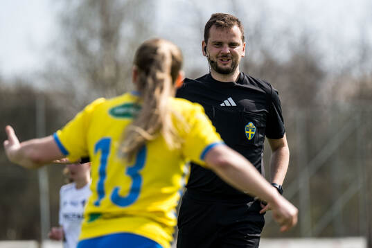 Domare Rexhepllar Ellmedin