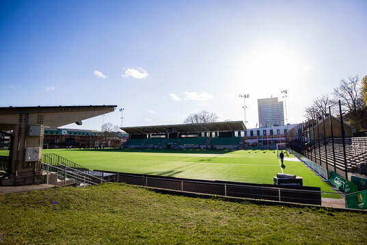 Hammarby IP