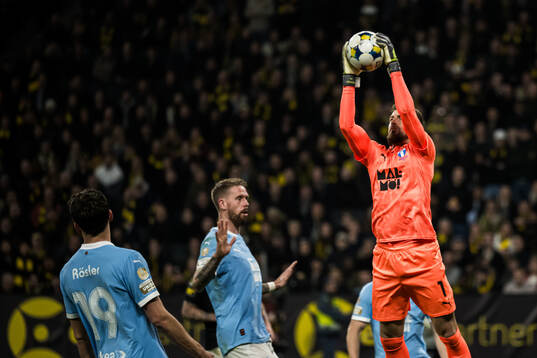 Malmö FFs Pontus Jansson och målvakt Ricardo Friedrich