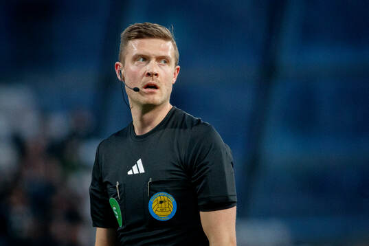Domaren Erik Mattsson