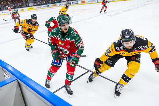 Frölundas Arttu Ruotsalainen och Luleås Pontus Själin