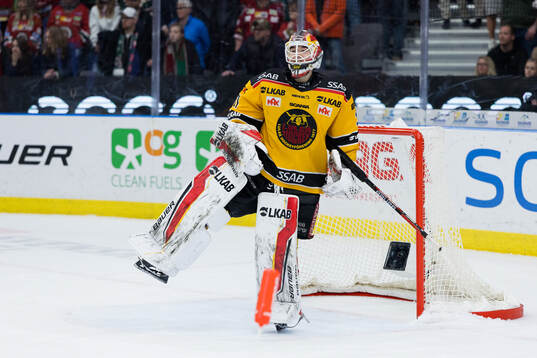 Luleås målvakt Matteus Ward jublar