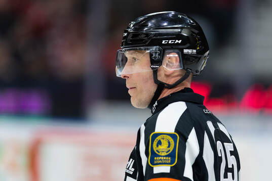 Domare Tobias Björk
