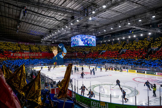 Djurgårdens supportrar med ett tifo
