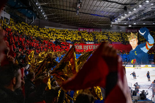Djurgårdens supportrar med ett tifo