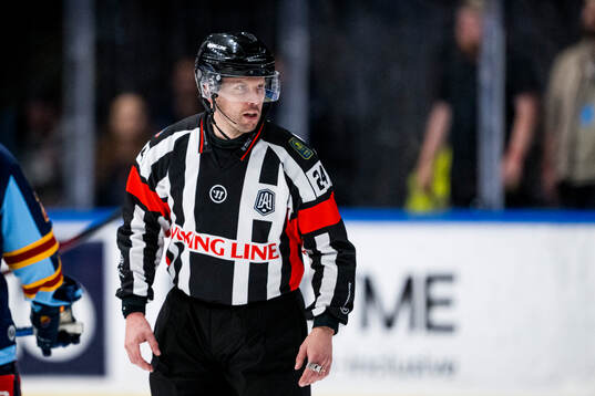Domare Johan Magnusson