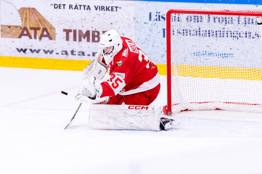 Troja/Ljungbys målvakt Vilgot Holm