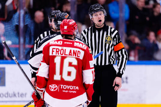 Domare Robin Forslund