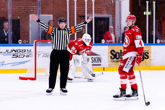 Domare Alex Eriksson