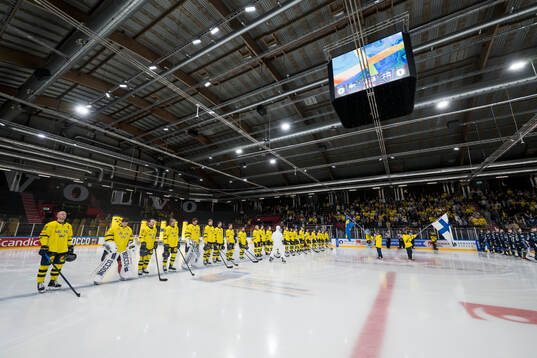 Players of Sweden