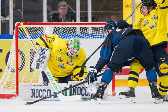 Goalkeeper Arvid Holm of Sweden