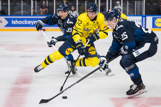 Heikki Liedes of Finland and Tim Heed of Sweden