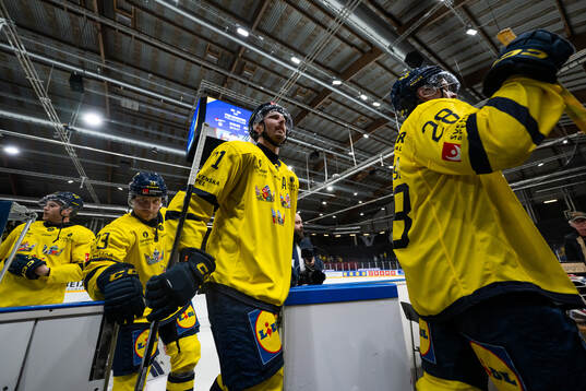 Linus Hultström and Christoffer Ehn of Sweden