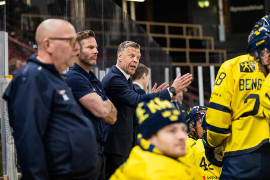 Physiotherapist Henrik Nilsson of Sweden and assistant