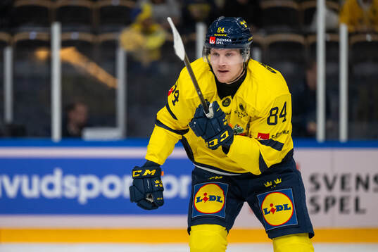 Sebastian Hartmann of Sweden