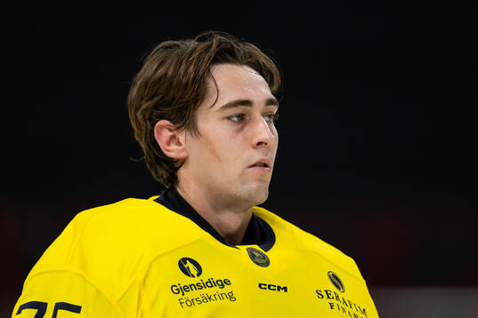 Goaltender Arvid Holm of Sweden