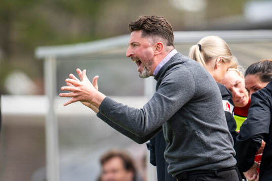 Vittsjös tränare Mladen Blagojevic agerar